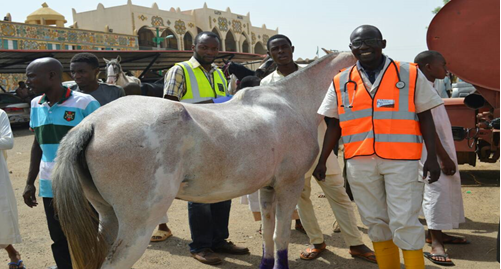 THE COMMEMORATION OF INTERNATIONAL VETERINARY DAY